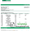 editable template, Benin Bank of Africa bank statement template in Word and PDF format
