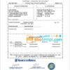 editable template, Brazil Banco do Brasil bank statement template in Word and PDF format