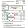 editable template, USA Chase account statement easy to fill template in Excel and PDF format
