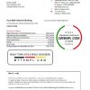 editable template, USA Bank of America bank statement easy to fill template in .xls and .pdf file format