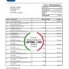 editable template, Uruguay Itau bank statement template in Word and PDF format