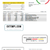 editable template, Russia Tinkoff bank statement easy to fill template in Word and PDF format (in Russian)