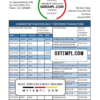 editable template, Peru Citibank bank statement easy to fill template in Word and PDF format