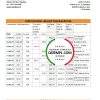 editable template, Lithuania Swedbank bank statement easy to fill template in .xls and .pdf file format