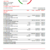 editable template, Lithuania (Litva) Citadele bank credit card statement easy to fill template in Excel and PDF format