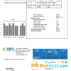 editable template, Bahamas Power and Light Company utility bill template in Word and PDF format