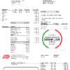 editable template, USA ADP business corporate earnings statement template in Word and PDF format