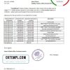 editable template, Russia Tinkoff bank proof of address statement template in Excel and PDF format (.xls and .pdf)