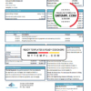 editable template, USA Springside Mortgage bank statement template in Excel and PDF format