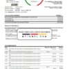 editable template, USA First Century Bank statement easy to fill template in Excel and PDF format