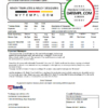 editable template, USA U.S. bank credit card statement template in Excel and PDF file format