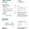 editable template, China State Grid Corporation of China electricity utility bill template in Word and PDF format