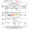 editable template, USA Georgia SunTrust bank statement template in Excel and PDF format