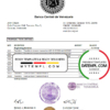 editable template, Venezuela Banco Central de Venezuela bank statement easy to fill template in Excel and PDF format