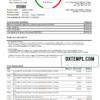 editable template, USA New York CFSB bank statement template in Excel and PDF format