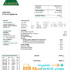 editable template, Iraq AlRasikh electricity utility bill template in Word and PDF format