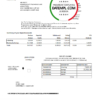 editable template, USA Navy Federal Credit Union bank statement template in Excel and PDF format