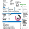 editable template, Italy Enel Energia utility bill template in Word and PDF format