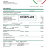 editable template, USA Commerce Bank statement easy to fill template in Excel and PDF format