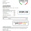 editable template, USA California BlueVine bank statement template in Word and PDF format, .doc and .pdf format