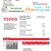 editable template, Japan Tokyo Electric Power Company electricity utility bill template in Word and PDF format