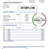 editable template, USA JP Morgan Chase bank statement template in .xls and .pdf file format