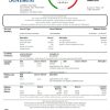 editable template, USA Georgia SunTrust bank statement template in Word and PDF format (For Sole Proprietor)