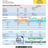 editable template, Malaysia Tenaga Nasional electricity utility bill template in Word and PDF format