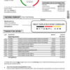 editable template, USA Chase account statement template in Word and PDF format, good for address prove