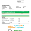 editable template, Netherlands KPN utility bill template in Word and PDF format