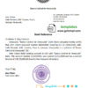 editable template, Venezuela Banco Central de Venezuela bank reference letter template in Word and PDF format