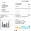 editable template, Yemen Gas Company utility bill template in Word and PDF format