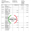 editable template, South Africa Imperial Bank statement easy to fill template in Word and PDF format