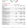 editable template, Saudi Arabia Alawwal Bank statement easy to fill template in .xls and .pdf file format