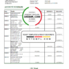 editable template, Romania CEC Bank statement easy to fill template in Excel and PDF format