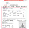 editable template, Denmark Primagaz Denmark gas utility bill template in Word and PDF format