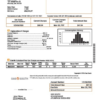 editable template, USA New York Gas South utility bill template in Word and PDF format