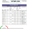 editable template, Pakistan Faysal Bank statement easy to fill template in .xls and .pdf file format