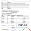 editable template, Russia Home Credit bank statement template in Word and PDF format, good for address prove