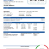 editable template, USA State Street Corporation bank statement template in Word and PDF format