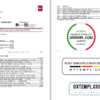 editable template, USA North Carolina BB&T Corp. bank statement template in Word and PDF format (2 pages)