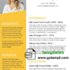 editable template, Professional and Creative CV template in WORD format
