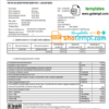 editable template, Serbia Електропривреда Србиjе electricity utility bill template in Word and PDF format