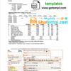 editable template, Slovenia Infrastruktura Bled utility bill template in Word and PDF format (.doc and .pdf)