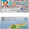 Timor-Leste driver license PSD template
