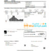 editable template, USA Nevada Big Bend Water District utility bill template in Word and PDF format