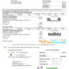 editable template, USA Washington Chelan County PUD utility bill template in Word and PDF format