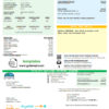 editable template, USA Florida City of Edgewater utility bill template in Word and PDF format