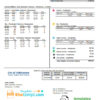 editable template, USA Florida City of Tallahassee Florida Your Own Utilities bill template in Word and PDF format