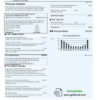 editable template, USA Con Edison gas utility bill template in Word and PDF format